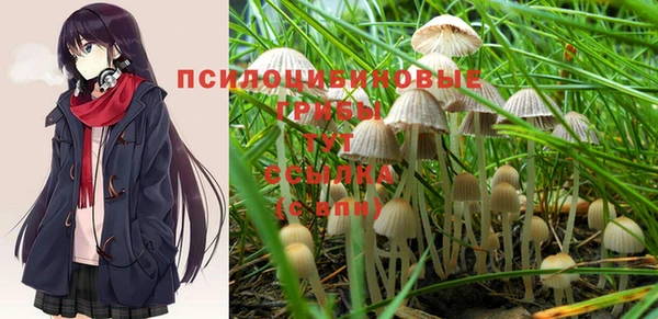 ГАЛЛЮЦИНОГЕННЫЕ ГРИБЫ Алзамай