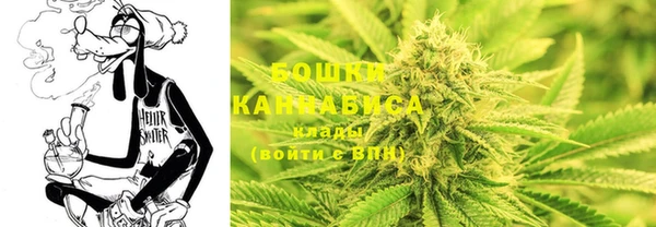 ешки Арсеньев