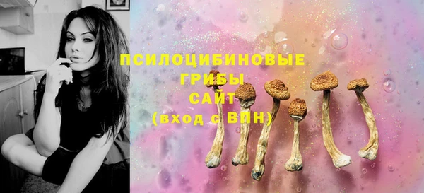 MESCALINE Аркадак